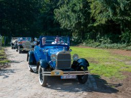 2019 - Parel der Voorkempen - Guy 
